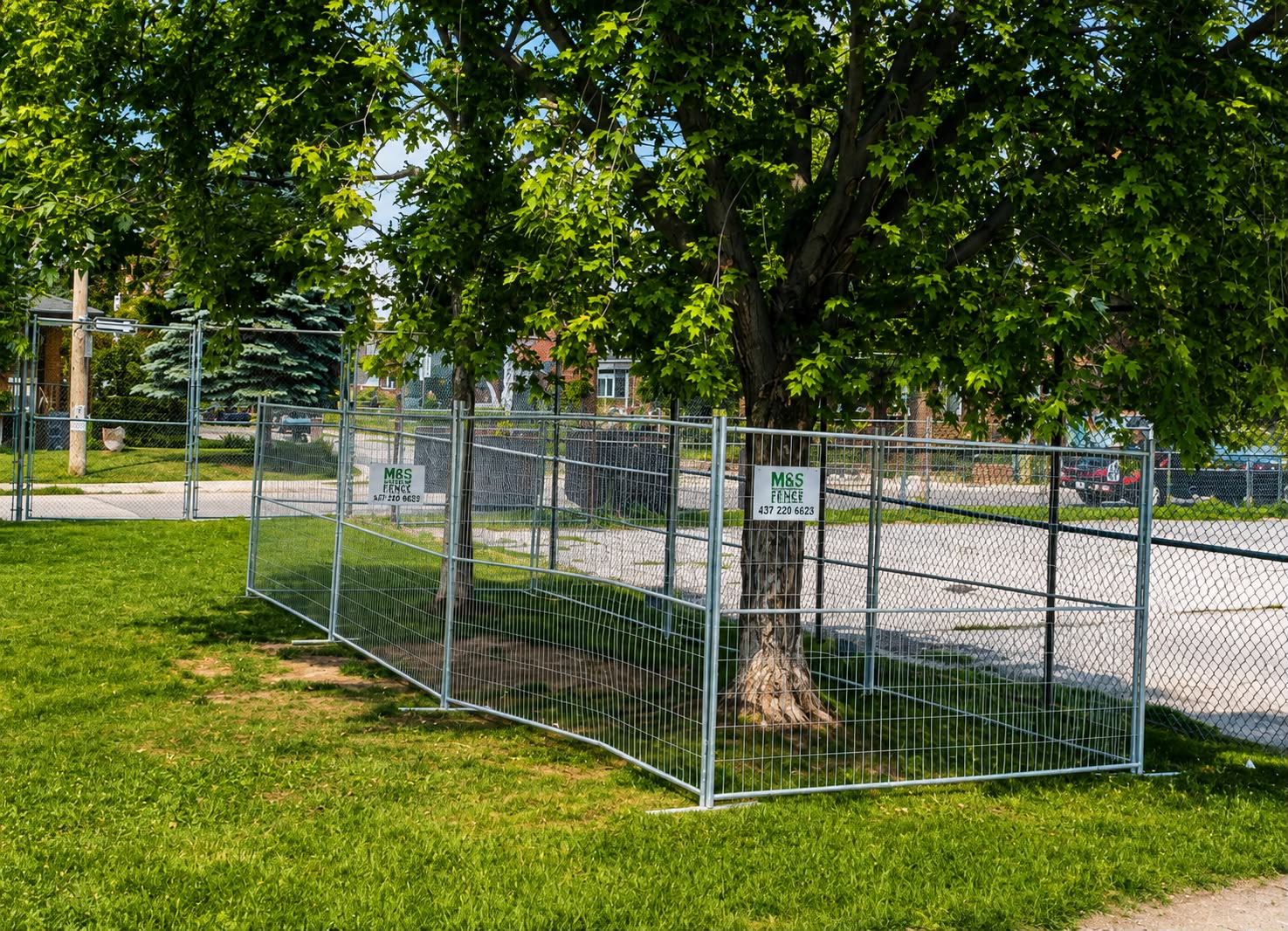 M&S Fence temporary tree protection fencing for a construction site