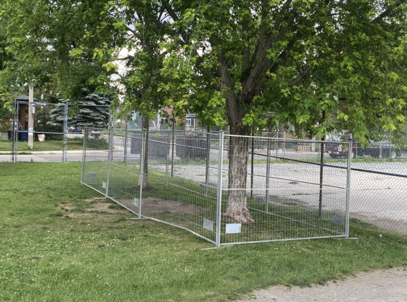 m and s fence 1 why m&s fence is the go to choice for temporary fencing in the gta toronto